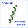 la-spiruline-arthrospira-platensis-aide-au-maintien-des-defenses-immunitaires-de-l-organisme-promo