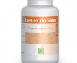 LEVURE DE BI??RE REVIVIFIABLE 200 G??LULES DE 320MG - GPH DIFFUSION